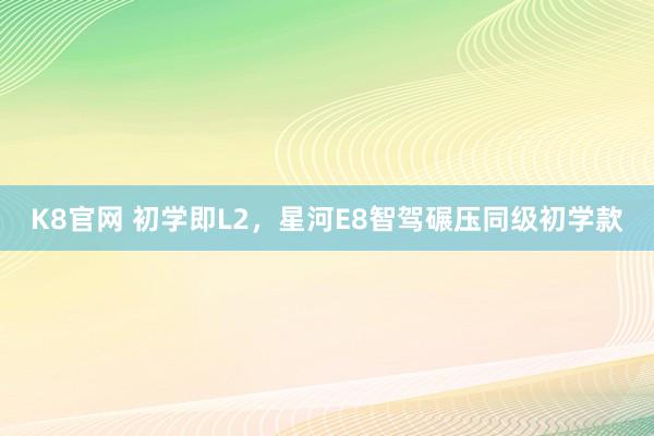 K8官网 初学即L2，星河E8智驾碾压同级初学款