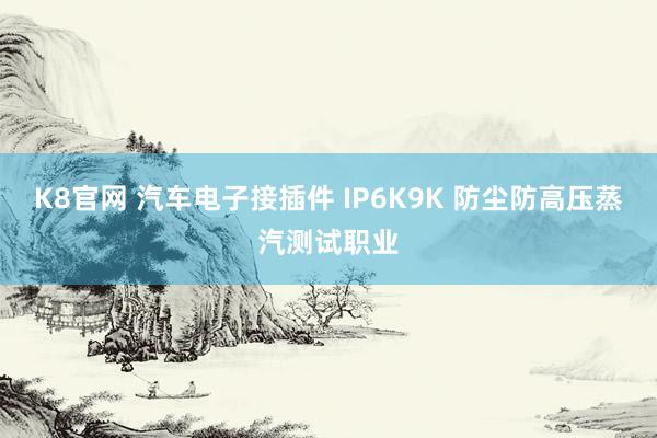 K8官网 汽车电子接插件 IP6K9K 防尘防高压蒸汽测试职业