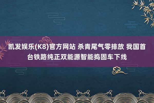 凯发娱乐(K8)官方网站 杀青尾气零排放 我国首台铁路纯正双能源智能捣固车下线