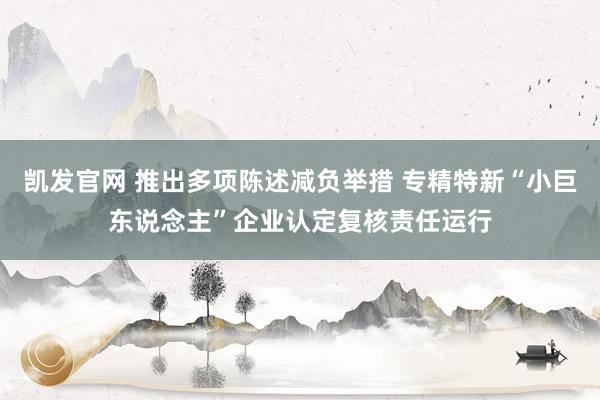 凯发官网 推出多项陈述减负举措 专精特新“小巨东说念主”企业认定复核责任运行