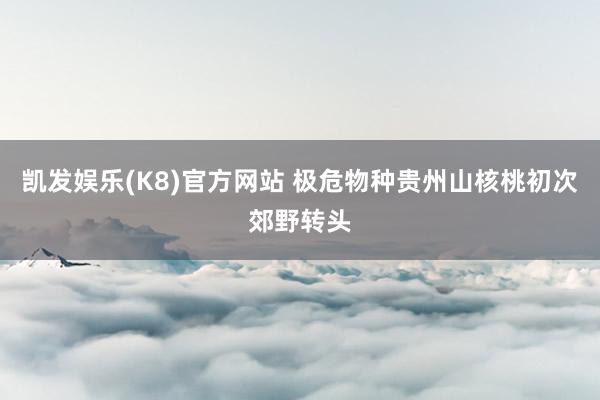 凯发娱乐(K8)官方网站 极危物种贵州山核桃初次郊野转头