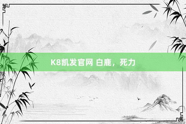 K8凯发官网 白鹿，死力