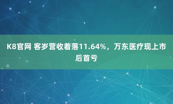 K8官网 客岁营收着落11.64%，万东医疗现上市后首亏