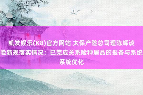 凯发娱乐(K8)官方网站 太保产险总司理陈辉谈非车险新规落实情况：已完成关系险种居品的报备与系统优化