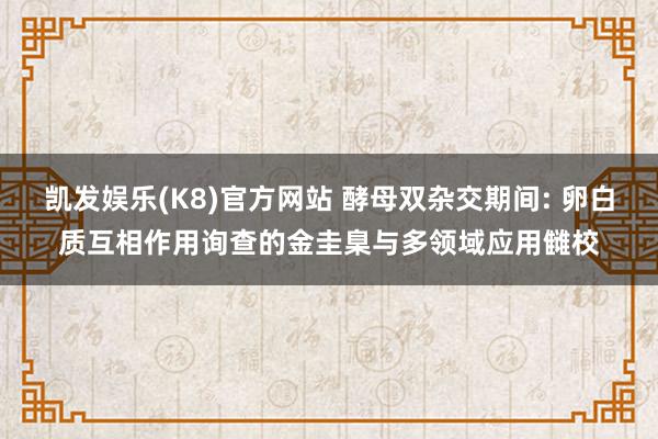 凯发娱乐(K8)官方网站 酵母双杂交期间: 卵白质互相作用询查的金圭臬与多领域应用雠校