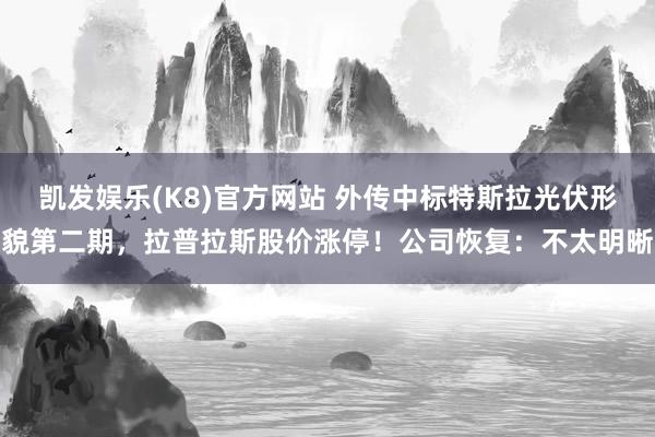 凯发娱乐(K8)官方网站 外传中标特斯拉光伏形貌第二期，拉普拉斯股价涨停！公司恢复：不太明晰