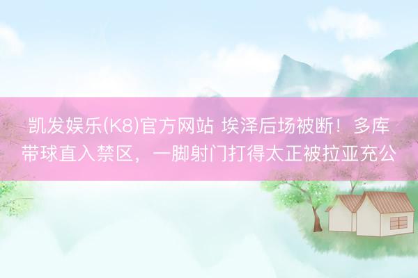 凯发娱乐(K8)官方网站 埃泽后场被断！多库带球直入禁区，一脚射门打得太正被拉亚充公