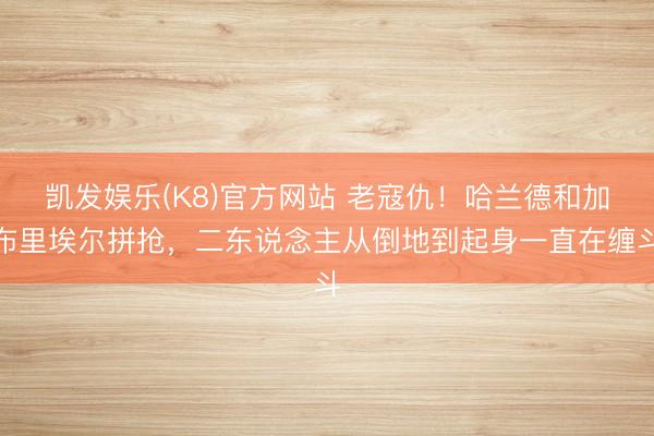 凯发娱乐(K8)官方网站 老寇仇！哈兰德和加布里埃尔拼抢，二东说念主从倒地到起身一直在缠斗