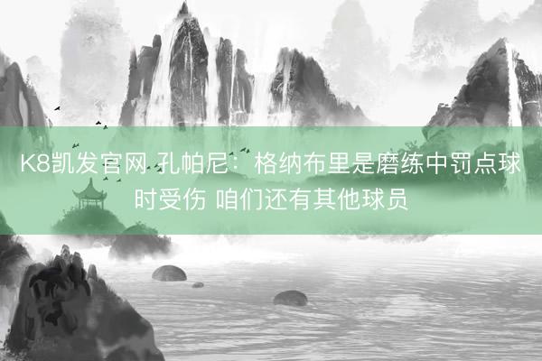 K8凯发官网 孔帕尼：格纳布里是磨练中罚点球时受伤 咱们还有其他球员
