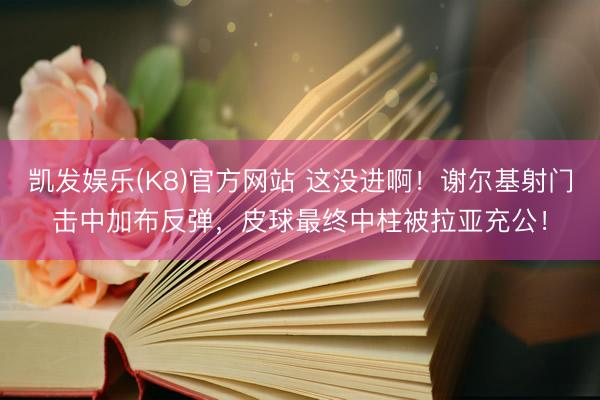 凯发娱乐(K8)官方网站 这没进啊！谢尔基射门击中加布反弹，皮球最终中柱被拉亚充公！