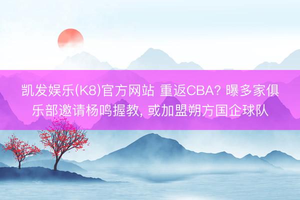 凯发娱乐(K8)官方网站 重返CBA? 曝多家俱乐部邀请杨鸣握教， 或加盟朔方国企球队