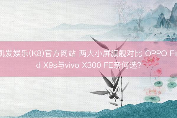 凯发娱乐(K8)官方网站 两大小屏旗舰对比 OPPO Find X9s与vivo X300 FE奈何选？