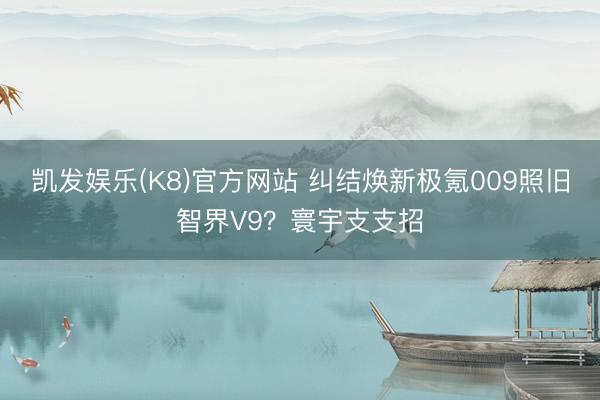 凯发娱乐(K8)官方网站 纠结焕新极氪009照旧智界V9？寰宇支支招