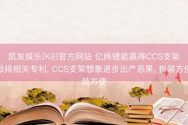 凯发娱乐(K8)官方网站 亿纬锂能赢得CCS支架母排相关专利, CCS支架想象进步出产恶果, 拆装方便