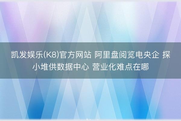 凯发娱乐(K8)官方网站 阿里盘阅览电央企 探小堆供数据中心 营业化难点在哪