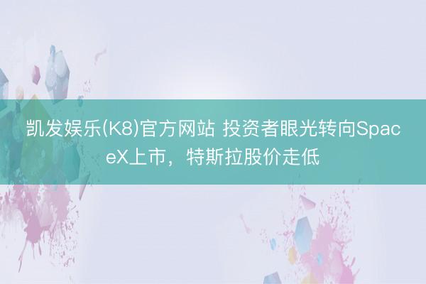 凯发娱乐(K8)官方网站 投资者眼光转向SpaceX上市,特斯拉股价走低