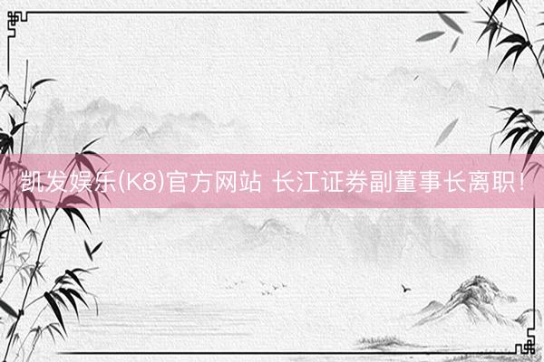 凯发娱乐(K8)官方网站 长江证券副董事长离职！