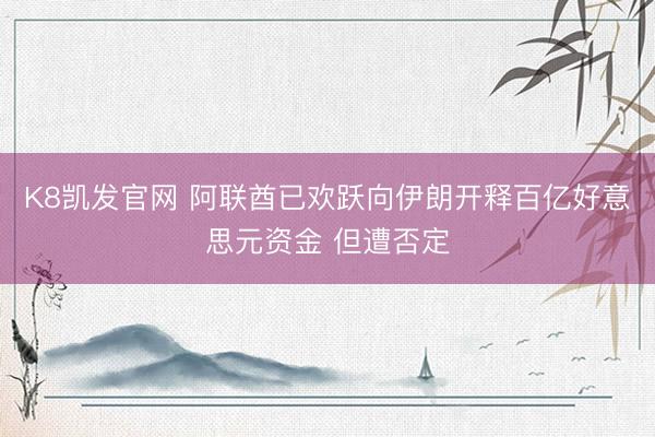 K8凯发官网 阿联酋已欢跃向伊朗开释百亿好意思元资金 但遭否定