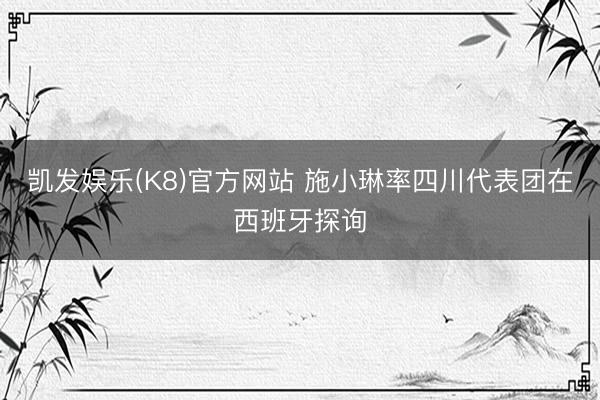 凯发娱乐(K8)官方网站 施小琳率四川代表团在西班牙探询