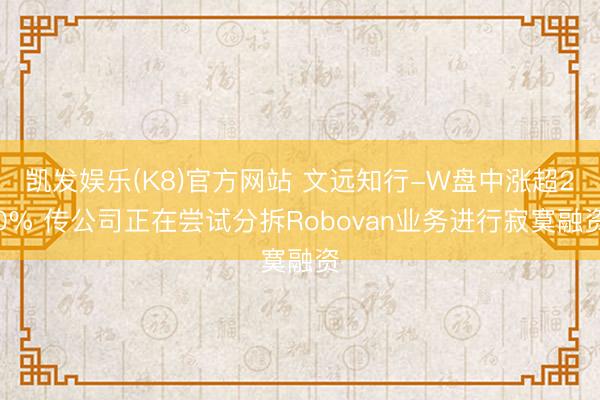 凯发娱乐(K8)官方网站 文远知行-W盘中涨超20% 传公司正在尝试分拆Robovan业务进行寂寞融资