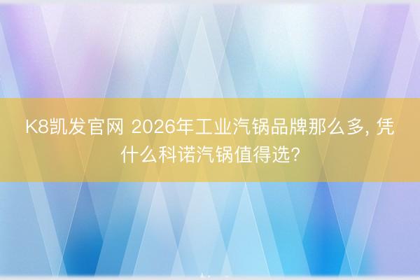 K8凯发官网 2026年工业汽锅品牌那么多, 凭什么科诺汽锅值得选?
