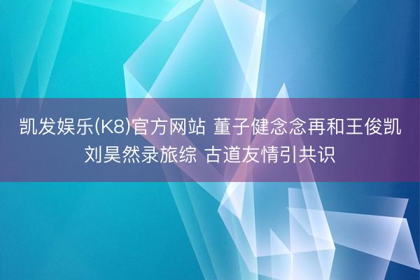 凯发娱乐(K8)官方网站 董子健念念再和王俊凯刘昊然录旅综 古道友情引共识