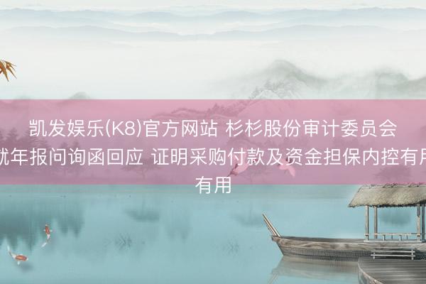 凯发娱乐(K8)官方网站 杉杉股份审计委员会就年报问询函回应 证明采购付款及资金担保内控有用