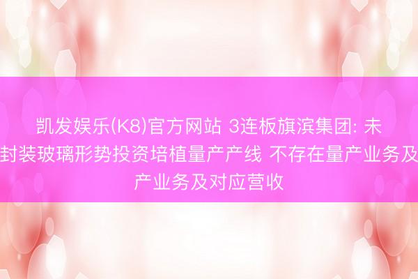 凯发娱乐(K8)官方网站 3连板旗滨集团: 未针对芯片封装玻璃形势投资培植量产产线 不存在量产业务及对应营收