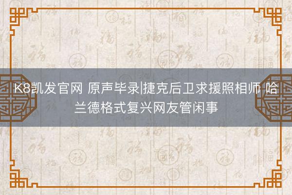 K8凯发官网 原声毕录|捷克后卫求援照相师 哈兰德格式复兴网友管闲事
